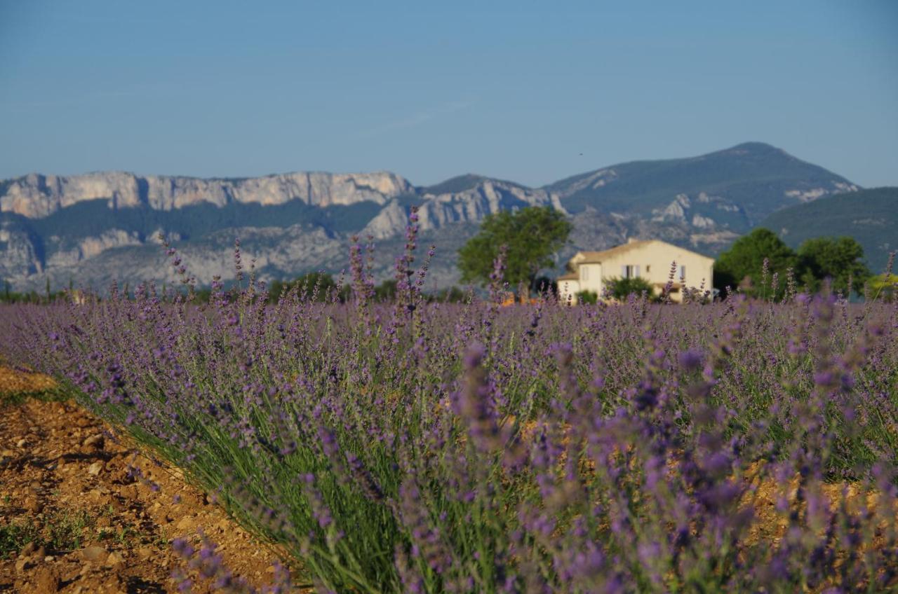Lou Pebre D'Ai Bed & Breakfast Regusse Bagian luar foto